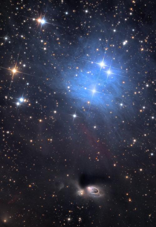 Reflection Nebula 