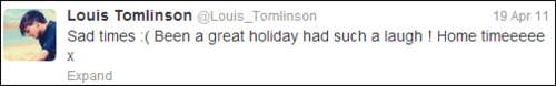alwaysinmyheartsincerelylouis:    