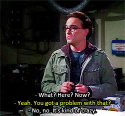 The Big Bang Theory