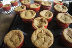 fullcirclefood:  PUMPKIN CUPCAKES WITH MAPLE