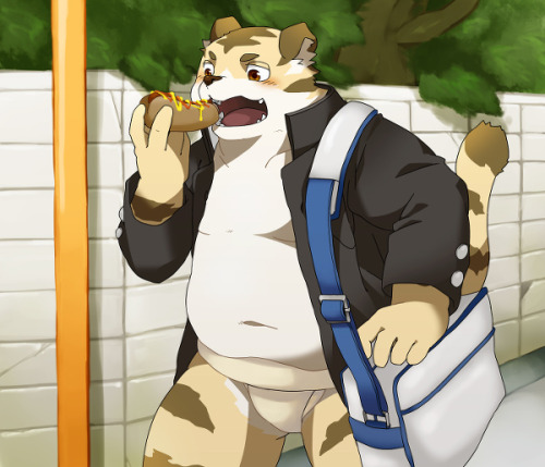 XXX fatfur:  Tigers have big appetites….  photo