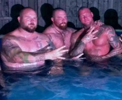 Justbulls:  Pool Bulls