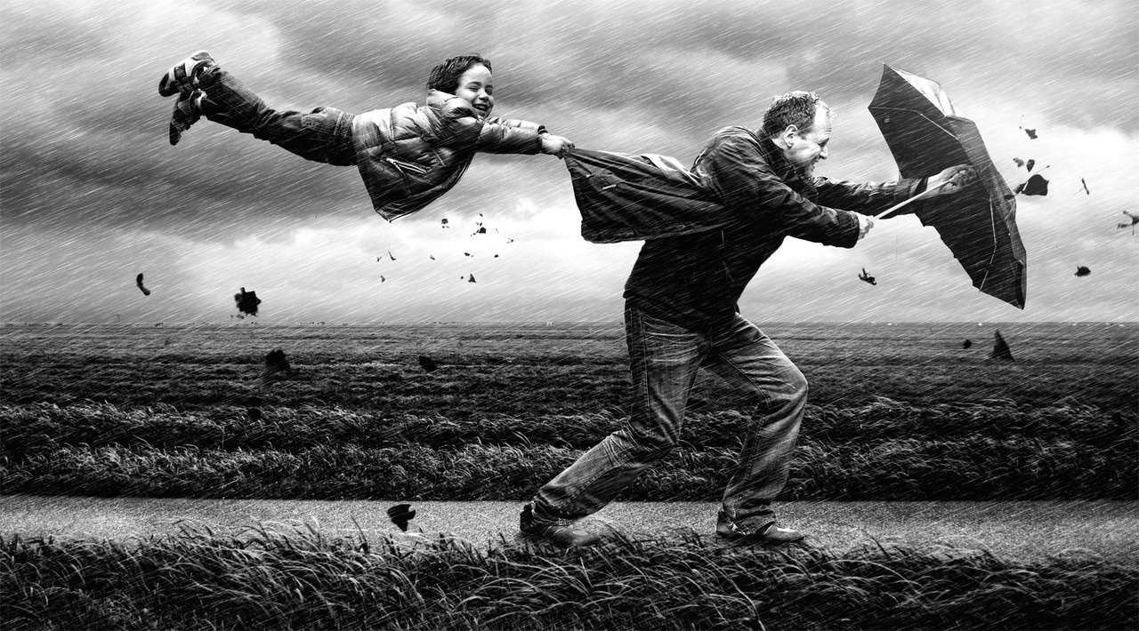 elisebrown:  Adrian Sommeling   These are amazing.