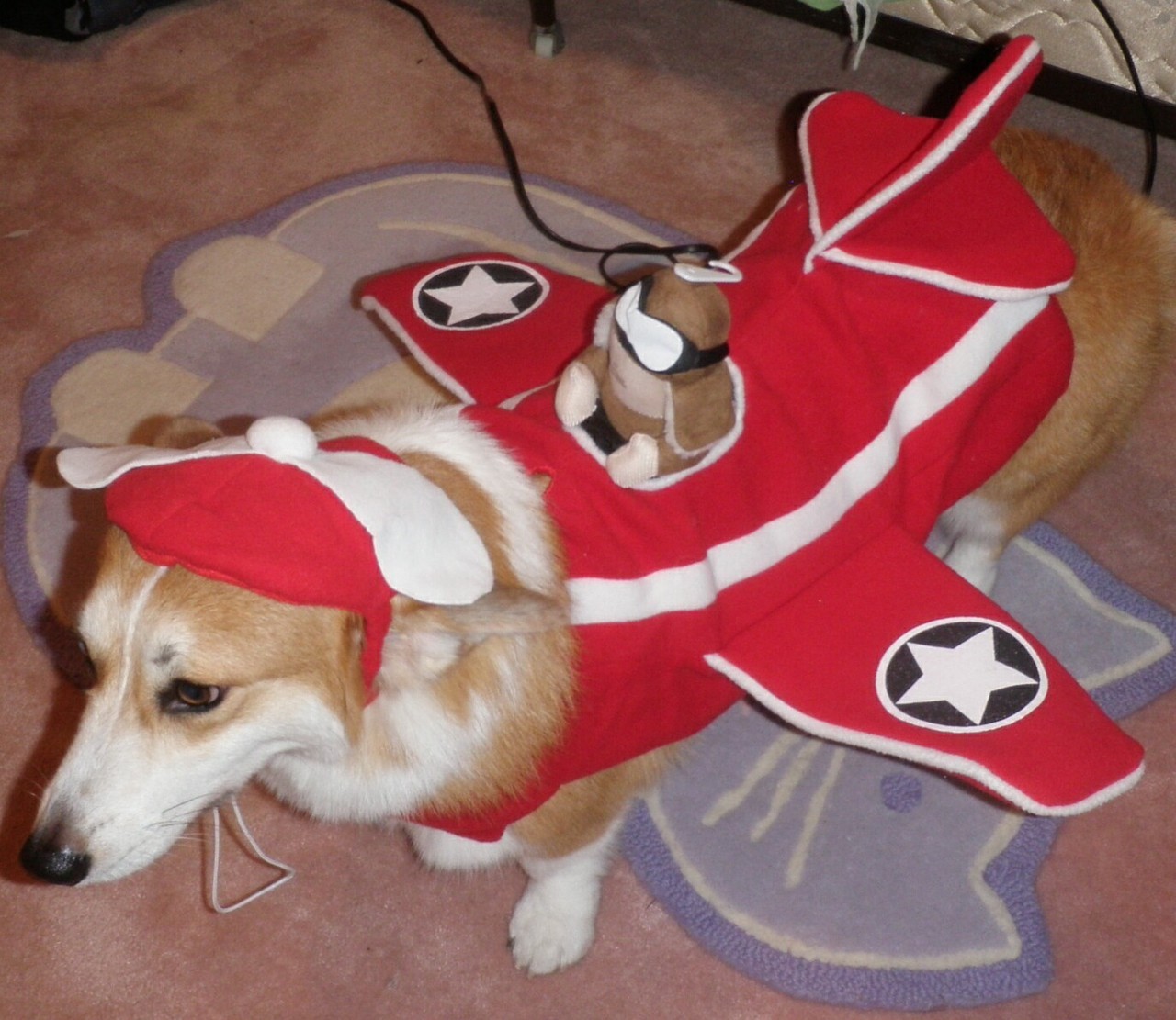 spooktaffle:  Guess who is going as a Wafflecopter for Halloween! 