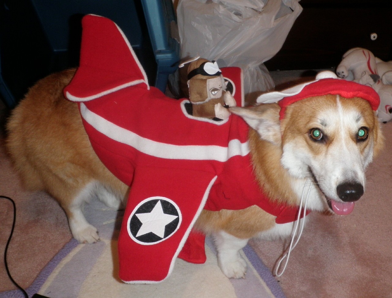 spooktaffle:  Guess who is going as a Wafflecopter for Halloween! 