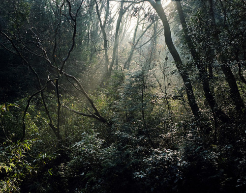 ohbeyourself:untitled by m.yosshii on Flickr.