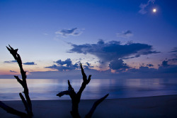 basementjax:  Offshore Storm by Appalachian