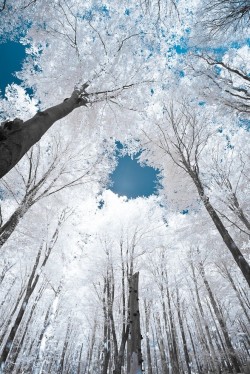 ilaurens:  the blue sky - By: (Jesper Madsen)