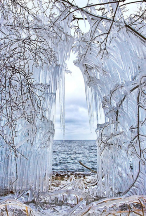 Porn photo moondancehooper:  Icy curtain  I’m not