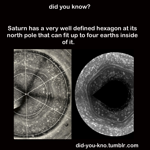 did-you-kno:  Source