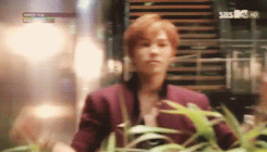 chaootic:  btob being btob ~ 