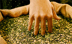 jennieferlawrence:  “She cultivates a taste for small pleasures. Plunging her hand deep into a sack of grain. Cracking crème brûlée with a tea spoon. And skimming stones on the Canal St Martin.” 
