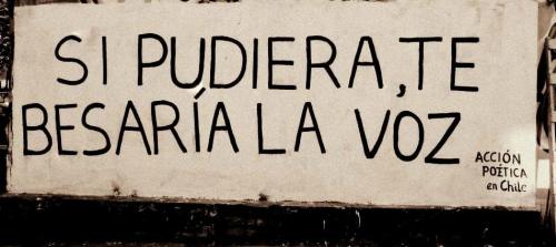 accionpoeticaenchile:  “Si pudiera, te besaría la voz” Larrain / Plaza Egaña. Ñuñoa 
