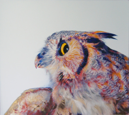 devidsketchbook: GORGEOUS OWLS DRAWINGS BY JOHN PUSATERI  (pencil, charcoal, pastel, on archiva