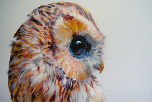 devidsketchbook: GORGEOUS OWLS DRAWINGS BY JOHN PUSATERI  (pencil, charcoal, pastel, on archiva