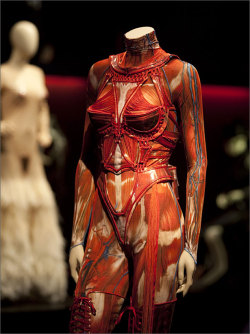 organization-blog:Jean Paul Gaultier anatomical