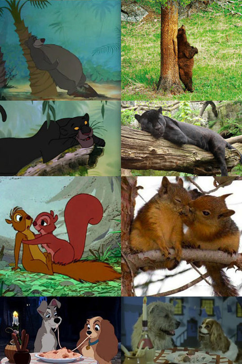 stephanie-le-slutau:  starfleetrambo:  awklicious:      Best post on tumblr   i had to reblog this   Omg the fox and the hound one  Have to reblog