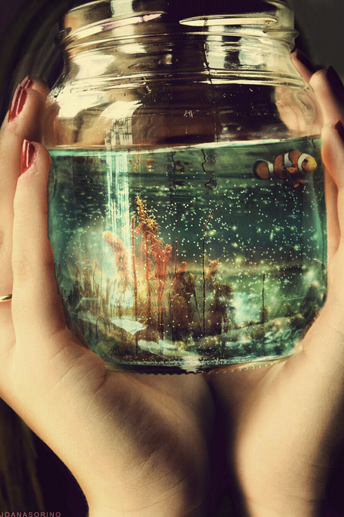 where dreams go to sleep †