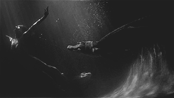 The State Of Dreaming