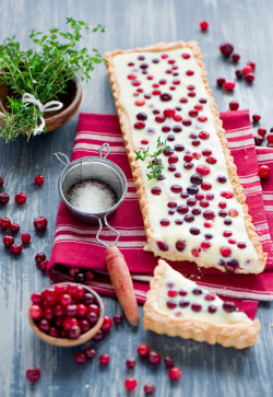 dearscience:  Cranberry tart with white chocolate
