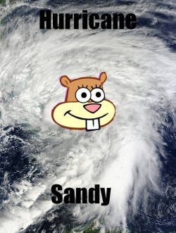meme-spot:  Hurrican Sandy Tigres-Argente
