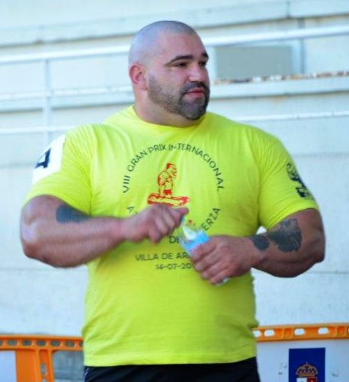 justbulls:  Massive Bull