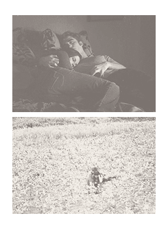      ”I never thanked you for this extraordinary life.”  