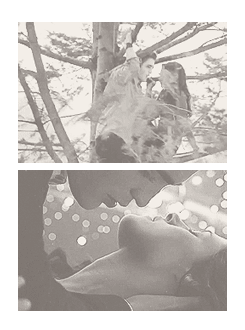      ”I never thanked you for this extraordinary life.”  