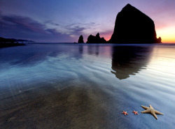 wonderous-world:  Cannon Beach Sunset by