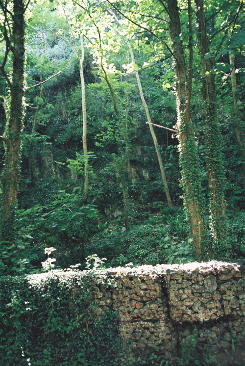 hisaishi:  favCNV00098 (by katie mabey)