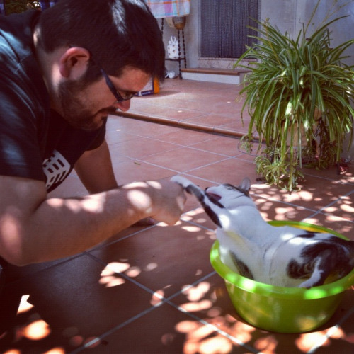 menzapping:  Love dogs and cats ;)