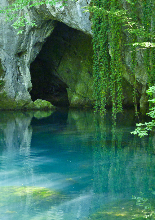 theadventurechild:    Jungle/tropical blog  