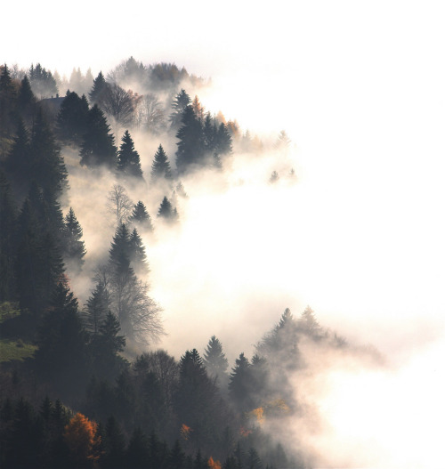 definitelydope:  slipping away into the sea (by jmalroonie)