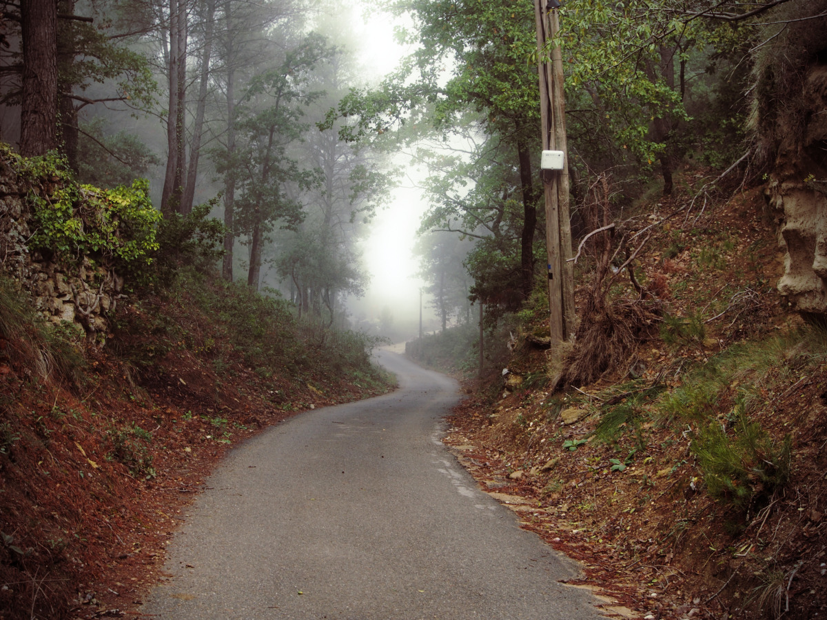 curvecycling:  You can hardly call it exercise when the roads are this nice. Cycling