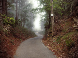 Curvecycling:  You Can Hardly Call It Exercise When The Roads Are This Nice. Cycling