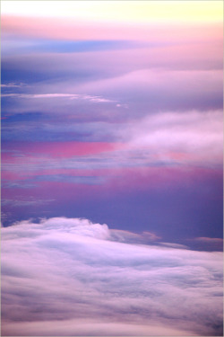 Pyrrhic-Victoria:  Bahman Farzad