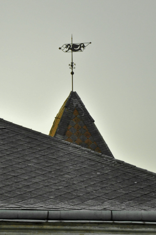 Wind vane from the Nopcsa mansion in Sacele, Hunedoara county, Romania.