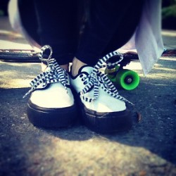 shoddylynn:  Sunday funday #pennyboards @jessejostark