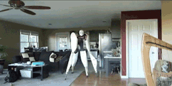 chemistry-checkmate:  nepetasfatcock:  2spookyasscrack:  onlylolgifs:  halloween costume  jESUS CHRIST THAT’S TERRIFYING   Me on my way to steal yo man  YOU CAN KEEP HIM  At first I thought the bottom gif was a sloth..