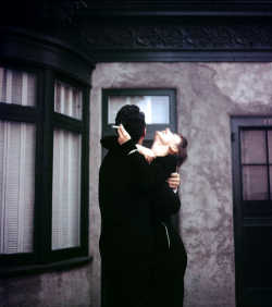 perruh:   Dean Martin and Audrey Hepburn share a laugh on the set of Sabrina, 1954.  priceless 