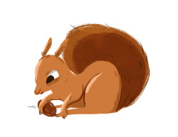 elladraws:  Just a squirrel