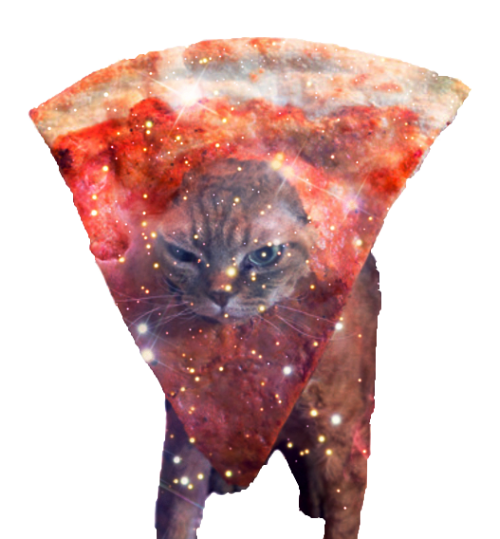 sinesigil:Cats, space and pizza. 