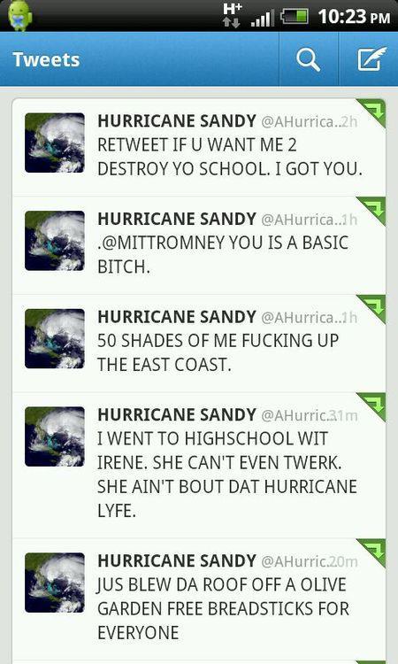 fuckyeahragetoons:  hurricane sandy. 