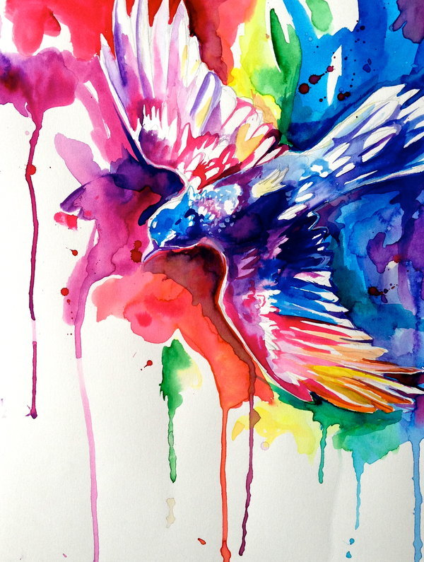 Rainbow Bird