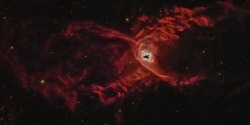 n-a-s-a:  The Red Spider Planetary Nebula Image Credit &amp; Copyright: Carlos Milovic, Hubble Legacy Archive, NASA  