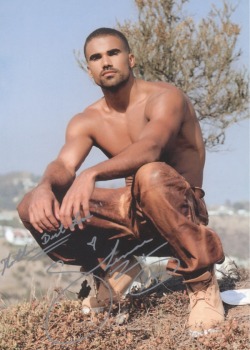 nakedmalecelebs1:  Shemar Moore nude   