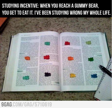 9gag:  Wrong all my life long  É ASSIM QUE AS GORDA ESTUDA CALAI!!!! faz assim ai galers