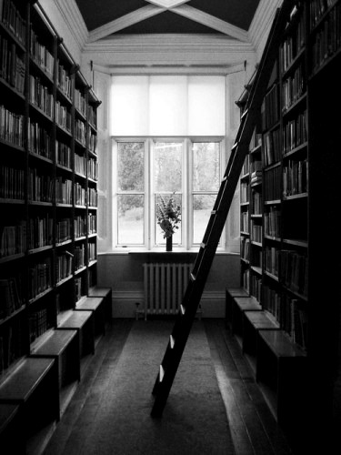 Yes, library porn.