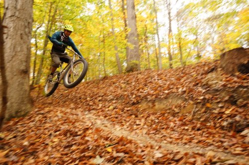 fuzzyimages:  flying fatbikes. Every autumn they noisily bounce by my house…