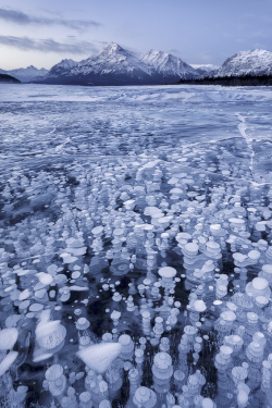 0rient-express:  Lake Abraham (by Emmanuel Coupe).
